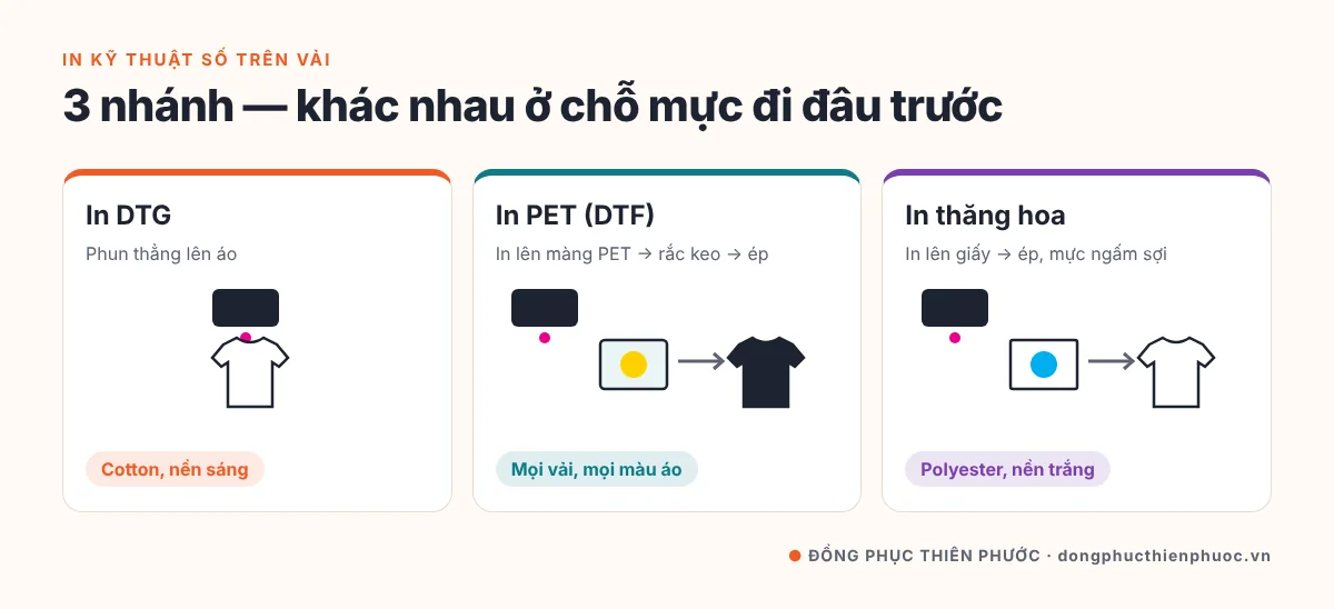 In Kỹ Thuật Số Trên Vải Là Gì? Hiểu Đúng Về In DTG Cho Áo Thun Đồng Phục 18 Sơ đồ 3 nhánh in kỹ thuật số trên vải: in DTG trực tiếp lên áo, in PET DTF qua màng phim, in thăng hoa qua giấy
