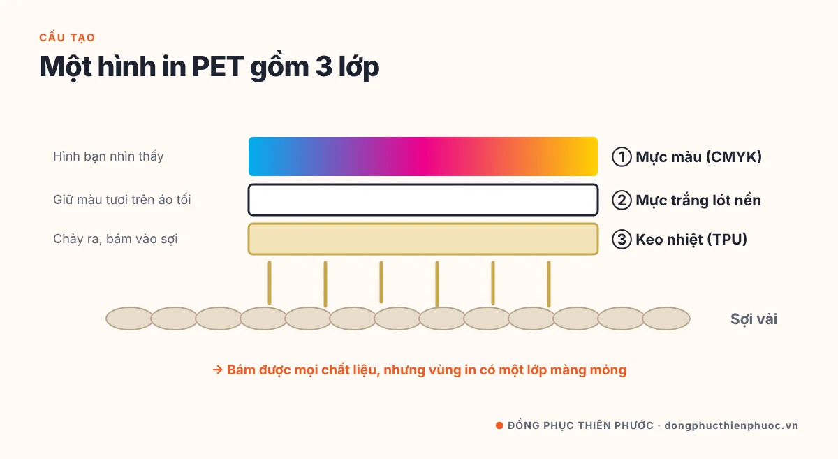 In PET Là Gì? Toàn Tập Về In DTF Cho Áo Thun & Đồng Phục 6 Cấu tạo lớp in PET trên áo: lớp mực màu, lớp mực trắng lót, lớp keo nhiệt bám vào sợi vải